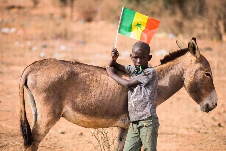 Article : Dakar se prépare et sera prête