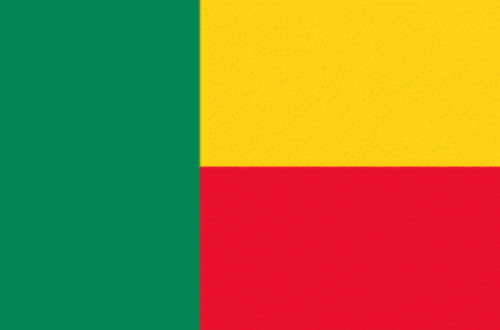 Article : Sénégal-Bénin, le match qui a fait balancer des cœurs à Dakar